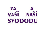 ZVNS